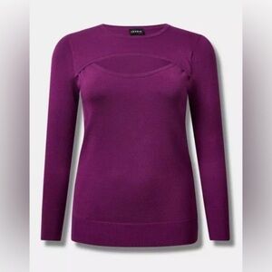Torrid Purple Crew Neck Sweater with Stretchy Knit